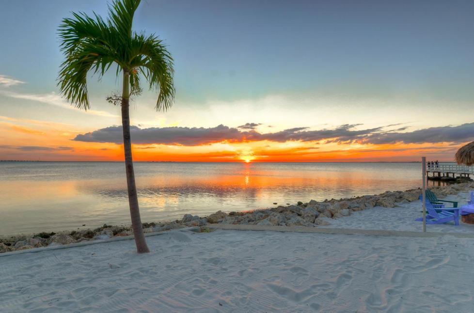 Apartment 412-amazing Views, Waterfront, Wifi, Pool, Close To Bucs Stadium