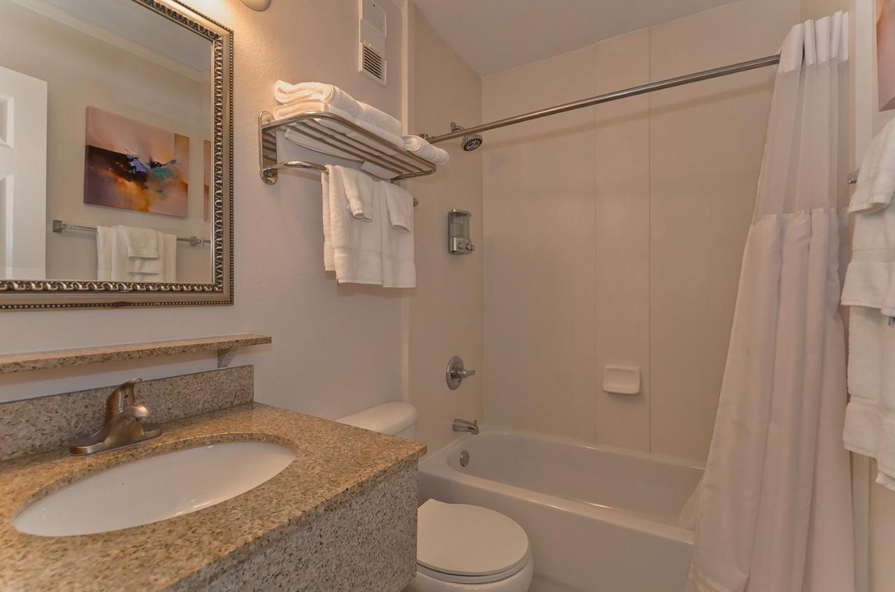 412-amazing Views, Waterfront, Wifi, Pool, Close To Bucs Stadium